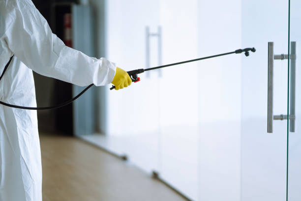 Best Mold Remediation for Healthcare Facilities  in Alexandria, IN